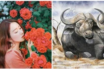 Tử vi ngày 7/10/2020 cho 12 con giáp: Quý nhân phù trợ Dậu thăng hoa