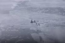 Kinh dị hồ nước “nuốt chửng” 2.500 con tàu: Bermuda chưa là gì? 