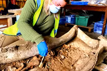 Mở quan tài chì thời La Mã, chuyên gia thốt lên “Có báu vật“