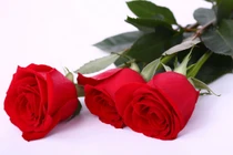 Dự đoán vận thế tháng 6/2018 cho 12 con giáp