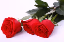 Dự đoán vận thế tháng 6/2018 cho 12 con giáp