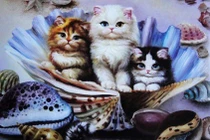 3 tháng tới, ba con giáp thu nhập tăng vù vù, lộc tài xanh biếc 