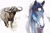 Cặp đôi con giáp cứ lấy nhau là xác định giàu có cả đời 