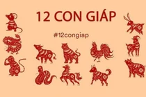 Dự báo tuần mới từ 14/09/2020 đến 20/09/2020 cho 12 con giáp