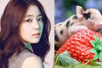 Từ nay đến Tết 2024: 3 tuổi đạp trúng rương vàng, đổi đời giàu có 