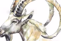 Bốn con giáp tin vui tới tấp, thu nhập tăng cao đầu tháng 9/2020