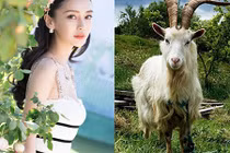 Mặc tháng cô hồn: 3 con giáp vẫn rủng rỉnh tiền tiêu, công danh phát 