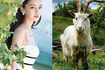 Mặc tháng cô hồn: 3 con giáp vẫn rủng rỉnh tiền tiêu, công danh phát 