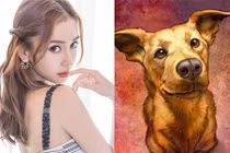 Tháng 12 tiền bạc đổ về: 3 tuổi chẳng bon chen, giàu sang tự đến