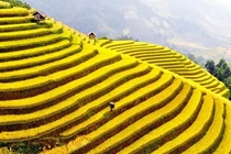 Kiêng kỵ không thể không tránh trong ngày 8/3 cho 12 con giáp