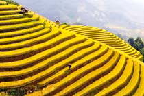 Kiêng kỵ không thể không tránh trong ngày 8/3 cho 12 con giáp