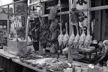 Chùm ảnh độc: Diện mạo Singapore 50 năm trước trông thế nào? 