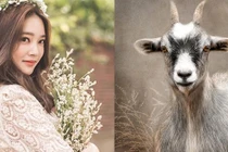 Vận thế vượng phát, 4 con giáp nhanh chóng thành đại gia nửa đầu năm 2021