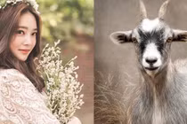 Vận thế vượng phát, 4 con giáp nhanh chóng thành đại gia nửa đầu năm 2021