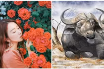 5 năm tới: Ba con giáp hết hẳn đói nghèo, chính thức giàu sang