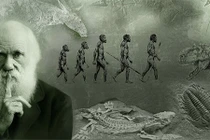 Hé lộ top 5 sai lầm khoa học đáng tiếc nhất của các thiên tài