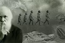 Hé lộ top 5 sai lầm khoa học đáng tiếc nhất của các thiên tài