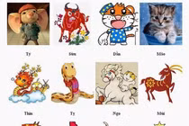 Dự đoán ngày 11/7/2021 cho 12 con giáp: Tý tham lam mất trắng, Dần tài lộc bất ngờ