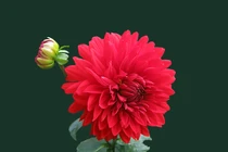 Dự đoán ngày mới 13/03/2018 cho 12 con giáp 