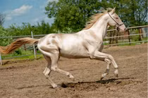 Rằm tháng 6, con giáp quay ngoắt 180 độ, khó khăn tận đáy, nay giàu tới đỉnh