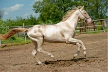 Rằm tháng 6, con giáp quay ngoắt 180 độ, khó khăn tận đáy, nay giàu tới đỉnh