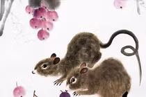 Top con giáp nhất định thăng quan phát tài trong 2 năm tới 