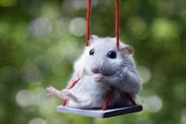 Bốn con giáp "sướng hơn vua", tiền vàng đầy kho trong tháng 9/2018