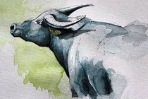 Sang tháng 5/2023: Top con giáp như Rồng cưỡi mây, lộc rơi đầy túi 