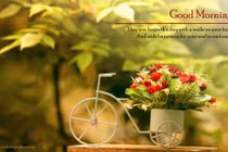 Dự đoán ngày mới 14/10/2017 cho 12 con giáp