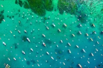 Dự đoán ngày mới 07/06/2018 cho 12 con giáp