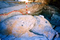 Phát lộ bẫy cát lún thời tiền sử, sửng sốt thấy "quái thú" hiện hình 