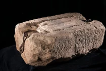 Bất ngờ các biểu tượng dị thường trong “Hòn đá định mệnh” 800 tuổi