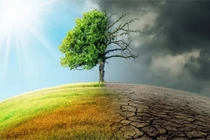 Ngoài biến đổi khí hậu, Trái Đất đối mặt với loạt hiểm họa nào? 