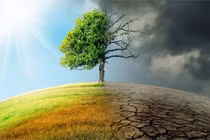 Ngoài biến đổi khí hậu, Trái Đất đối mặt với loạt hiểm họa nào? 