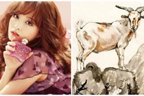 Dự đoán ngày mới 10/11/2021 cho 12 con giáp: Tuất hồng phát, Mão lao đao 