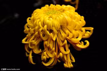 Dự đoán tuần mới 25/06 - 01/07/2018 cho 12 con giáp