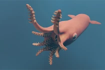 Hé lộ tổ tiên của mực ma cà rồng: Bắt mồi bằng siêu giác hút?