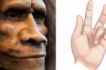 Giải bí ẩn “căn bệnh Viking”: Có nguồn gốc từ người Neanderthal?