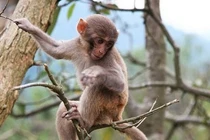 Nghèo thế đủ rồi, 4 con giáp giàu chóng mặt, đổi đời đại gia 3 tháng tới