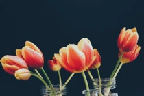 Dự đoán ngày mới 20/06/2018 cho 12 con giáp