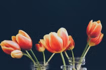 Dự đoán ngày mới 20/06/2018 cho 12 con giáp