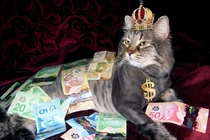 Từ 28/7, ba con giáp sau tài lộc tăng vọt, của cải đầy nhà