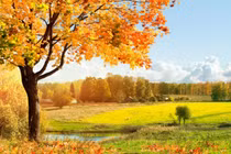 Dự đoán ngày mới 03/03/2018 cho 12 con giáp