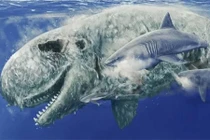 Sự thật ngỡ ngàng “món ăn vặt” yêu thích của siêu cá mập Megalodon 
