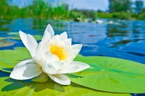 Dự đoán ngày mới 25/04/2018 cho 12 con giáp