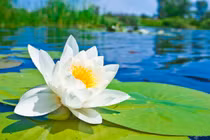 Dự đoán ngày mới 25/04/2018 cho 12 con giáp