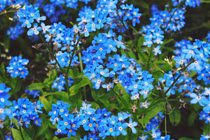 Dự đoán ngày mới 22/06/2018 cho 12 con giáp