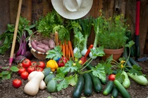 Dự đoán ngày mới 03/04/2018 cho 12 con giáp