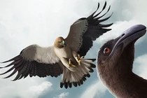 Giật mình hoá thạch khổng lồ mệnh danh “Chúa tể của những chiếc nhẫn”