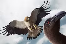 Giật mình hoá thạch khổng lồ mệnh danh “Chúa tể của những chiếc nhẫn”